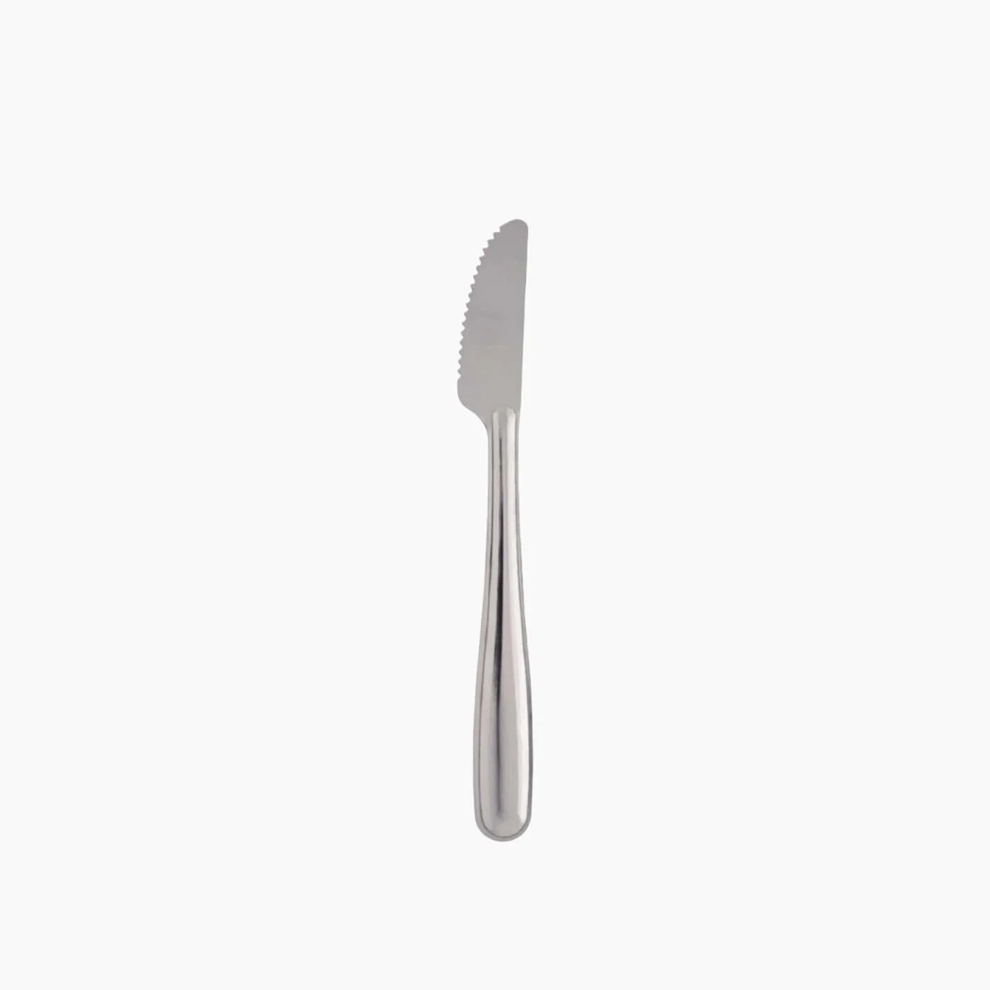 Pintinox Reuse Table Knife Set