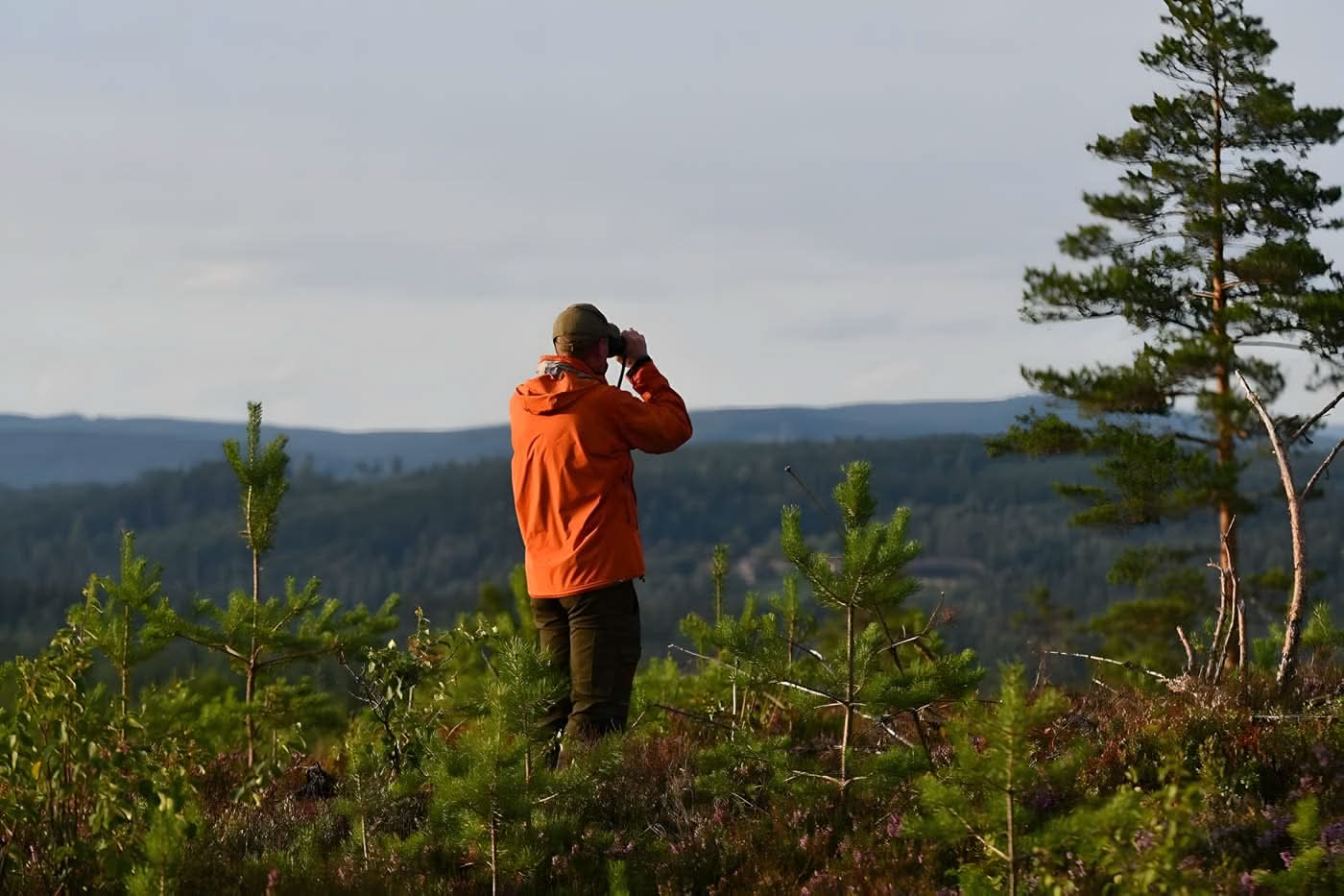Tasco Roof Binocular - Image 7