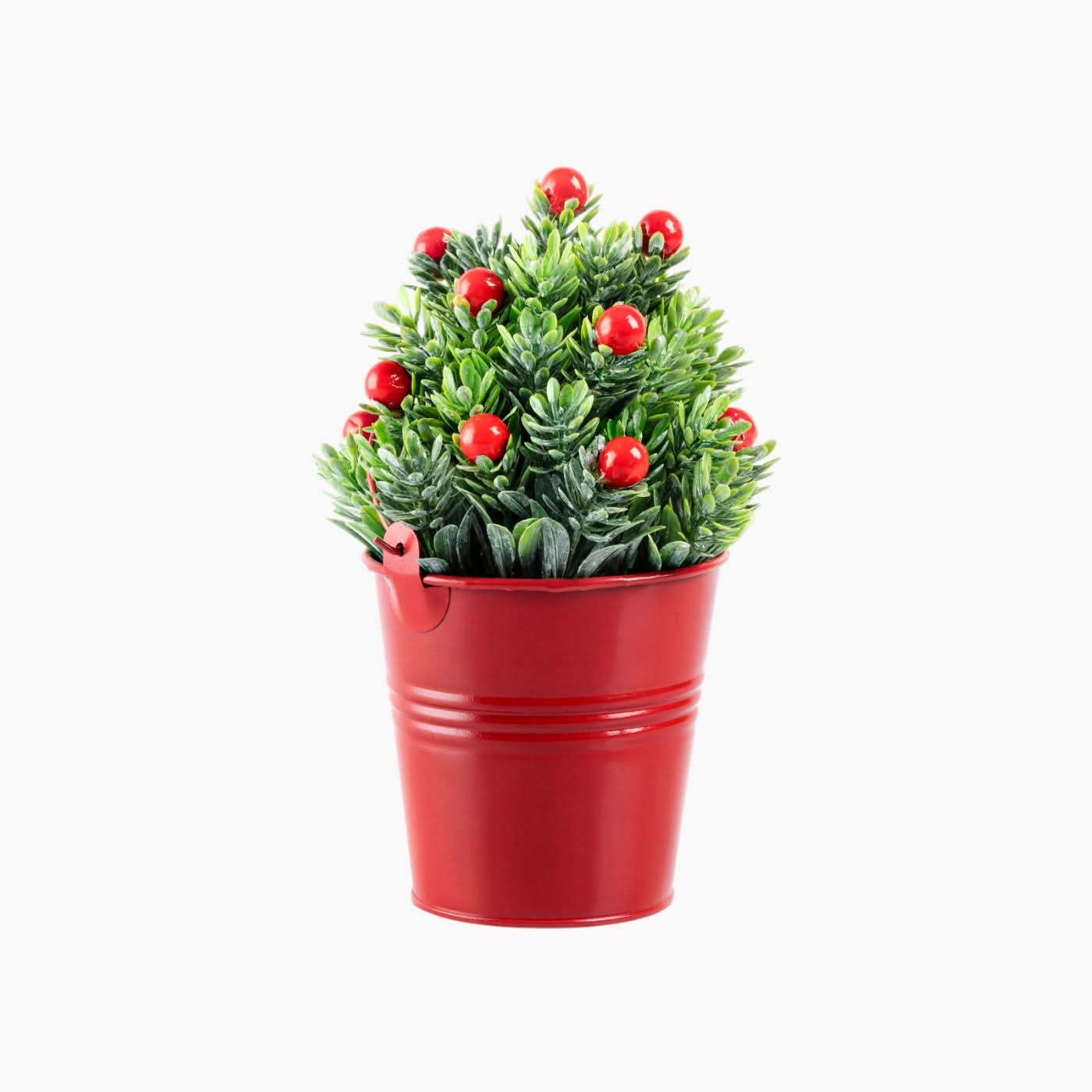 Madame Coco Rosalie Potted Flower