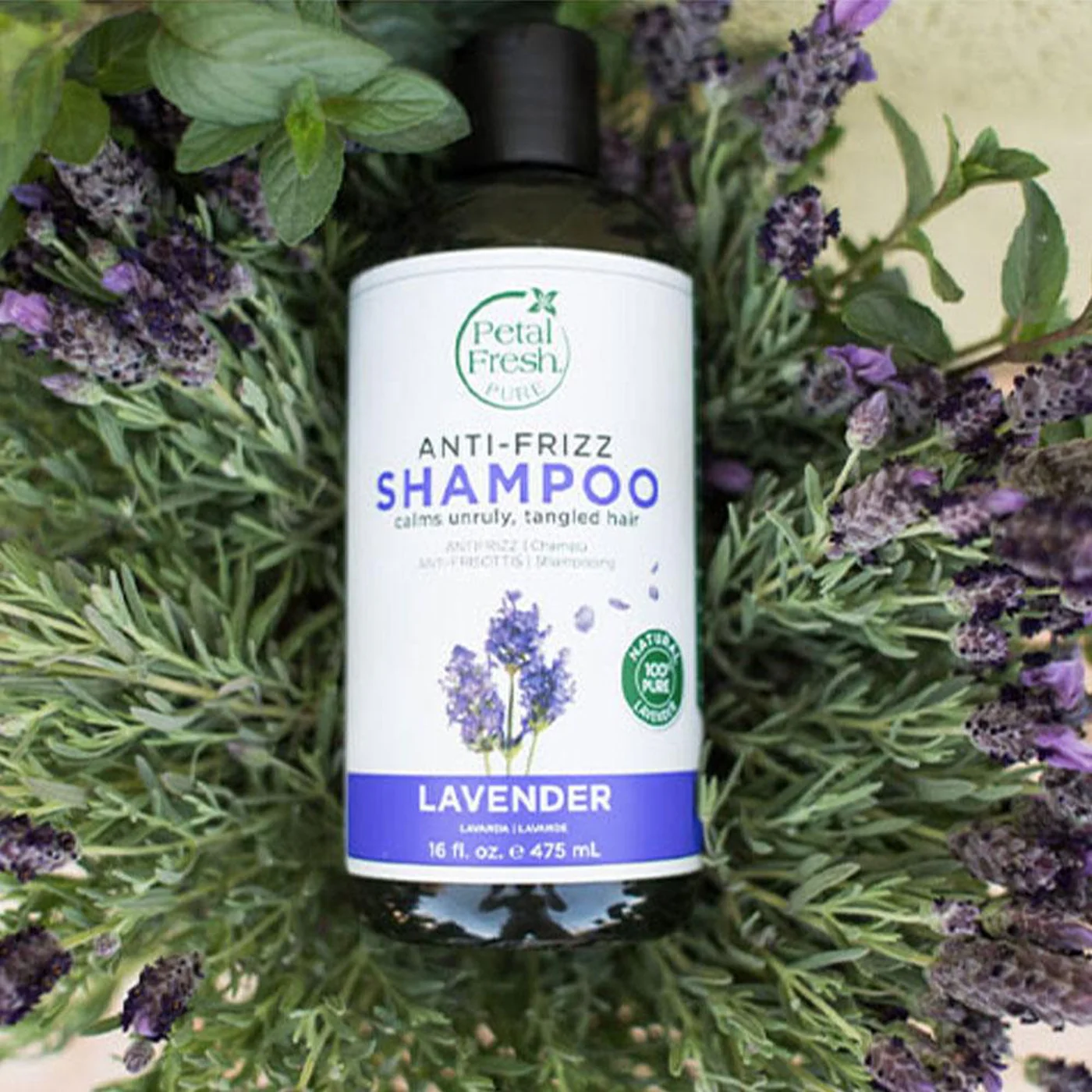 Petal Fresh Shampoo - Image 3