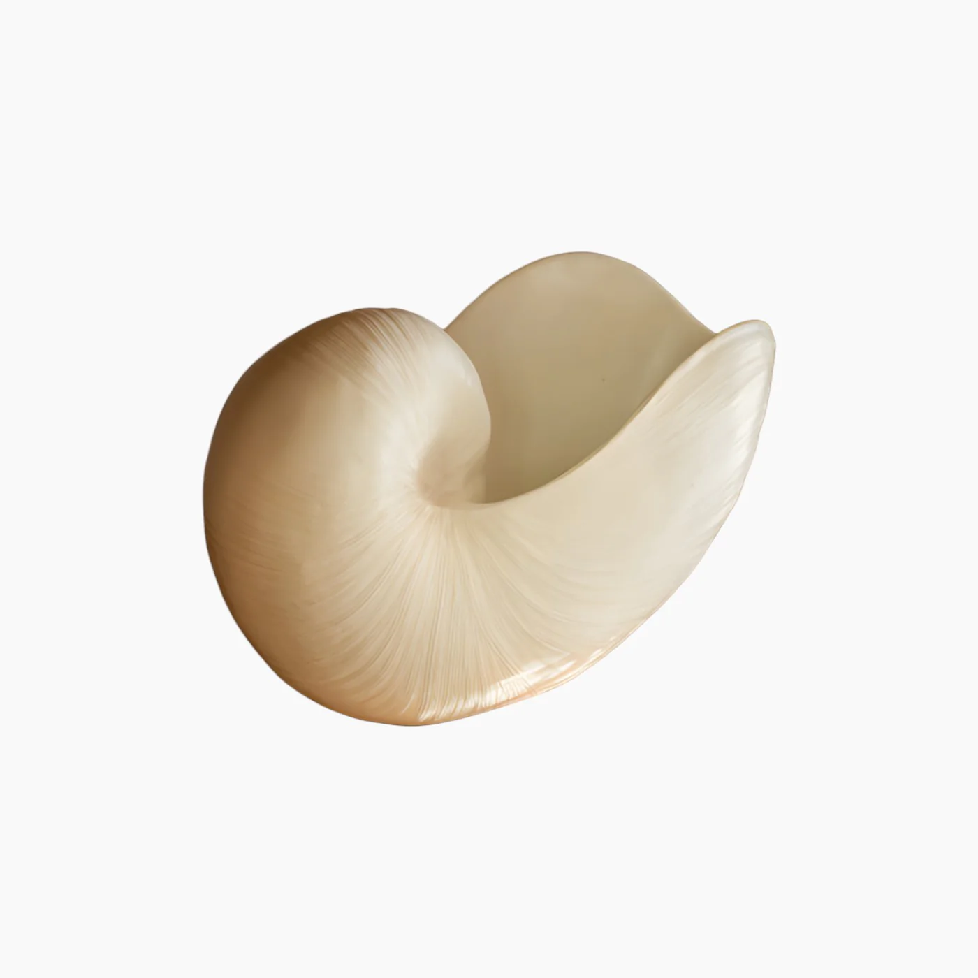 Shell Vase