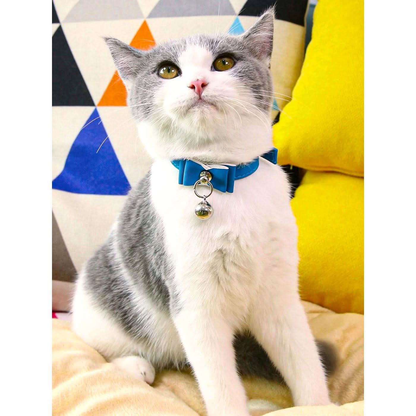 Pet Village Solid Color Pet Collar - Image 5
