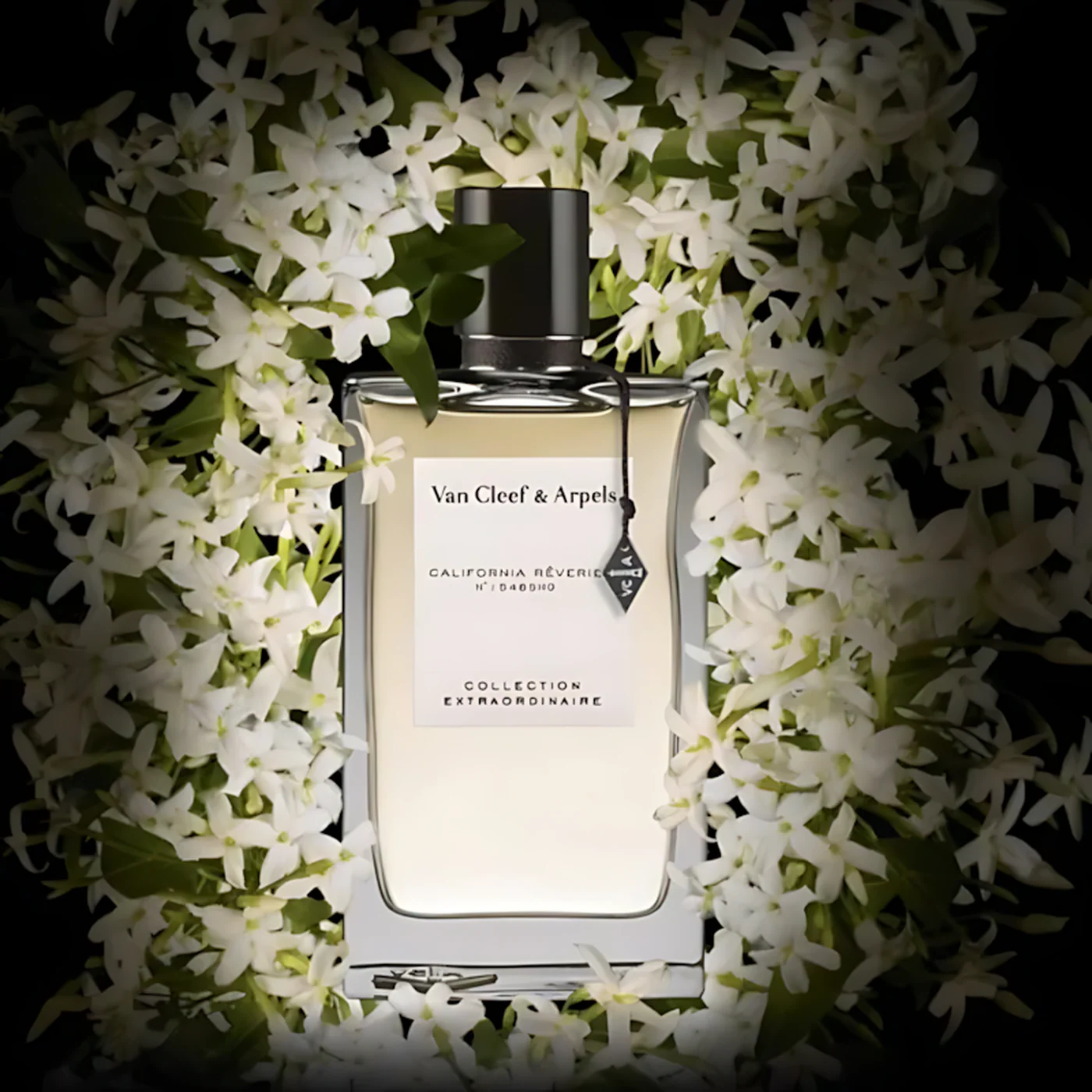 Van Cleef & Arpels California Reverie EDP 75Ml Unisex - Image 4