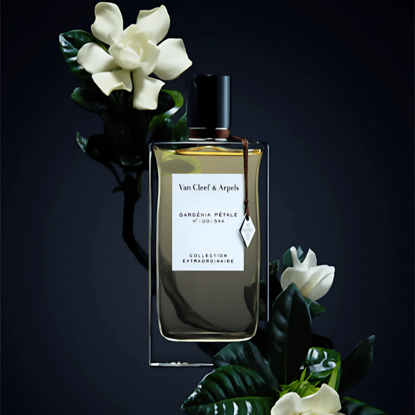 Van CLeef & Arpels Gardenia Petale EDP 75ML For Women - Image 3