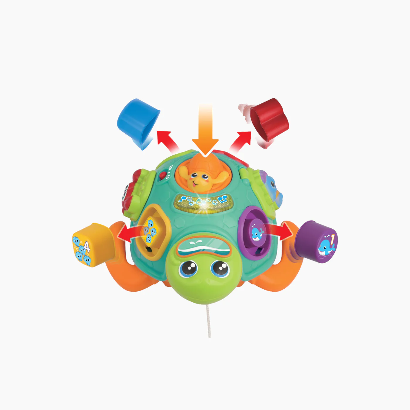 Winfun Sort 'N Learn Turtle Educational Toy - Image 3